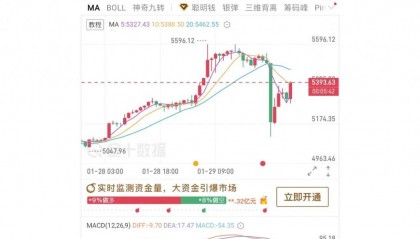 狗币的今日价格(狗狗币2025会涨到多少)