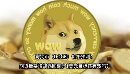 狗币的今日价格(狗币今日价格行情人民币)