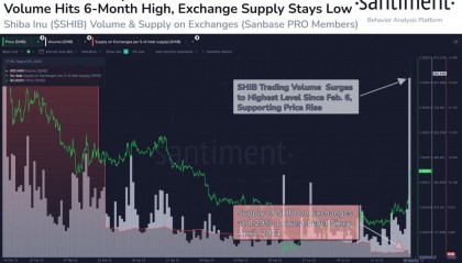 SHIB币最新消息(shib币最新消息每天销毁多少)