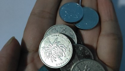 鱿鱼币(鱿鱼币目前怎么卖)