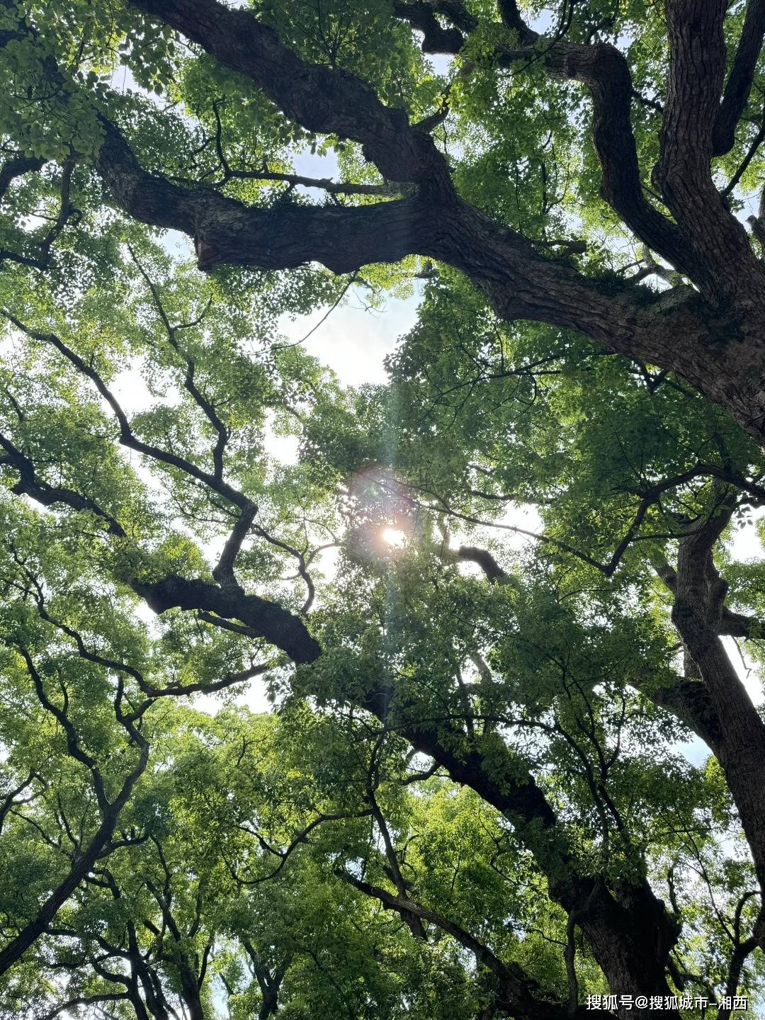 去一次华东3日游多少钱人民币？建议收藏！华东研学团旅游找哪家好？