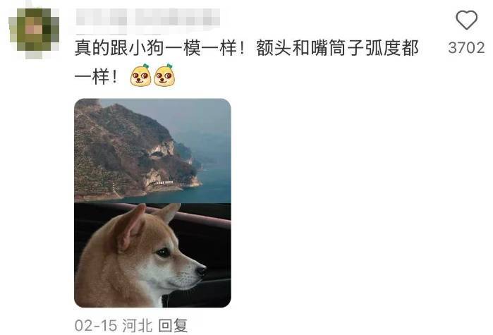 萌翻了！火爆全网的"小狗山"是真的，不是P的！紧急提醒