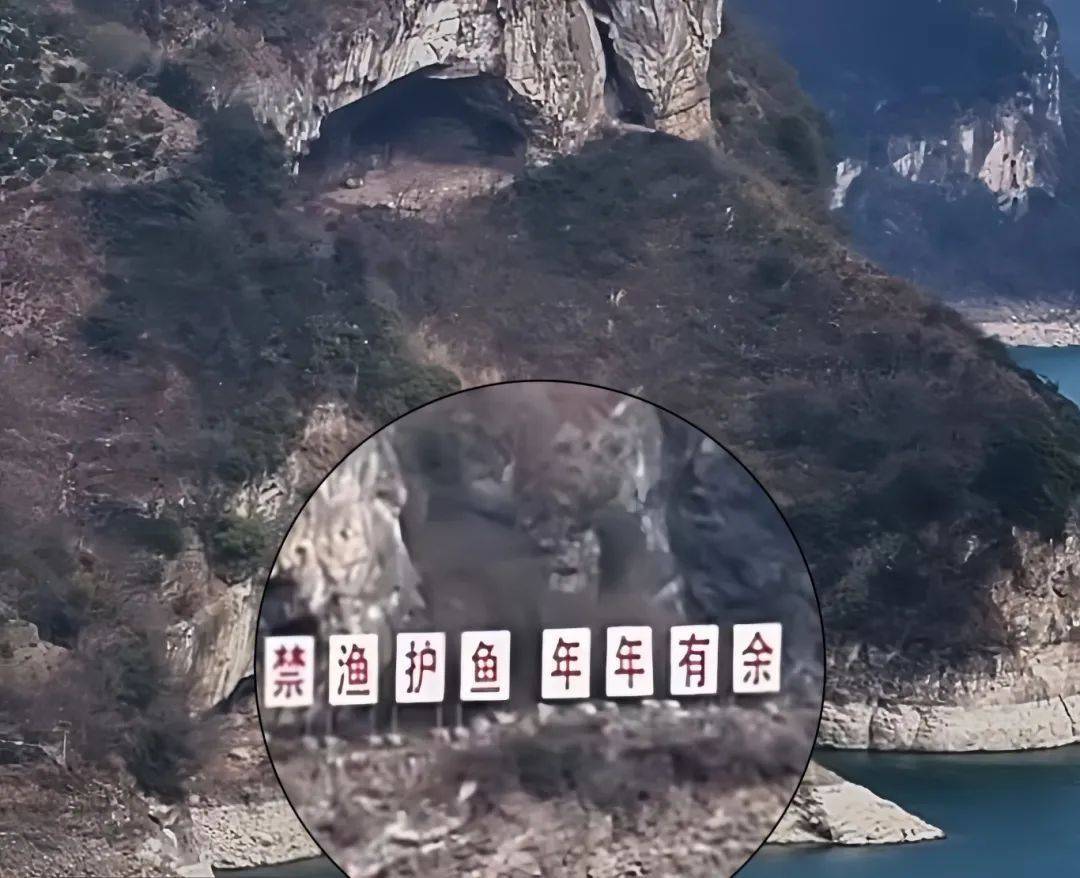 萌翻了！火爆全网的"小狗山"是真的，不是P的！紧急提醒