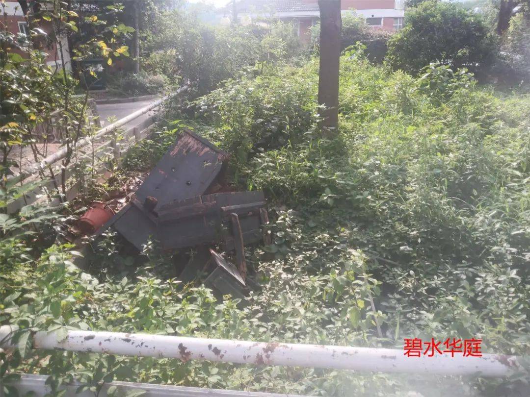江宁区：物业红黑榜又来了，七月最新！