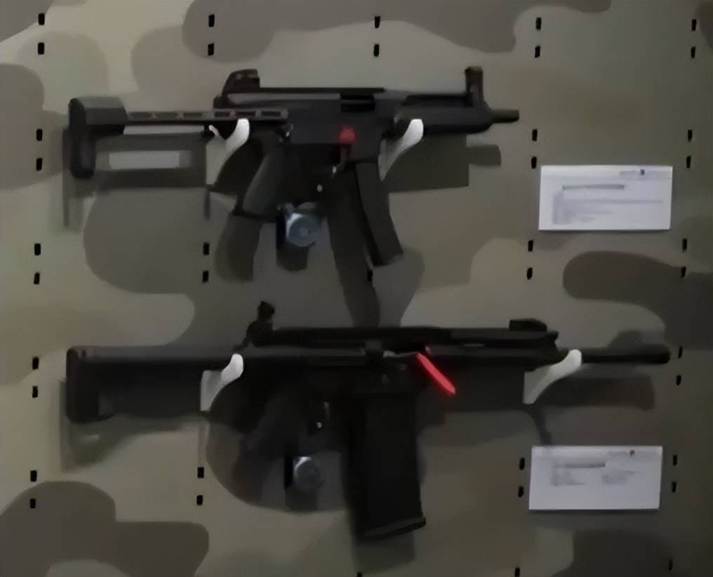 从未见过！4款国产神秘新步枪意外曝光，191枪族居然还有新型号？