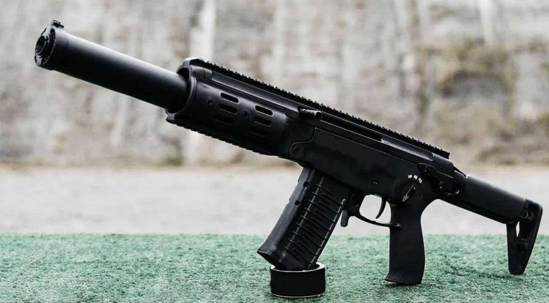 从未见过！4款国产神秘新步枪意外曝光，191枪族居然还有新型号？