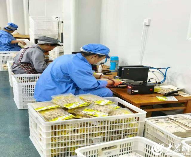 潍坊临朐：藏在大山深处的“高级定制”