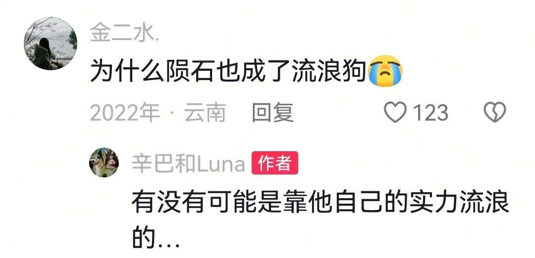 流浪狗回家两天遭邻居投诉，狗主人力挺自家毛孩子，第二天却收了份“大惊喜”，本以为邻居是厌狗，没想到真相出乎意料…