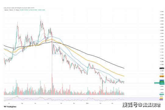 突发！DOGE面临“归零”考验，XRP遭遇新麻烦，SHIB变盘在即！